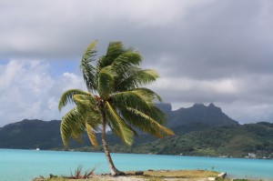 Bora Bora                                        