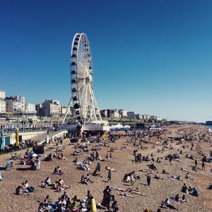 Brighton                              