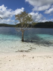 FraserIsland                                          