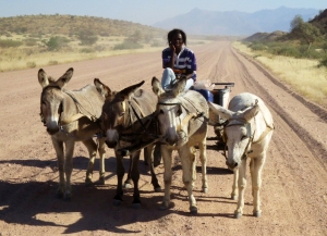 Namibia           