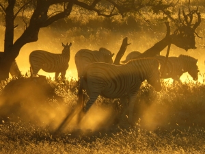 Namibia             