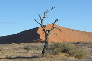 Namibia              