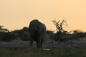 Namibia                   